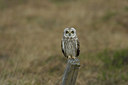BUITEN BEELD Foto: 2918