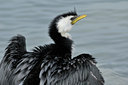 BUITEN BEELD Foto: 29010