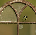 BUITEN BEELD Foto: 29023