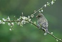 BUITEN BEELD Foto: 29034