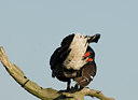 BUITEN BEELD Foto: 29037