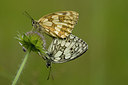 BUITEN BEELD Foto: 29048