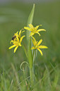 BUITEN BEELD Foto: 29132