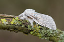 BUITEN BEELD Foto: 29135