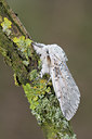 BUITEN BEELD Foto: 29136