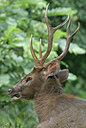 BUITEN BEELD Foto: 29187
