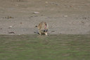 BUITEN BEELD Foto: 29197