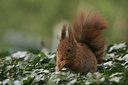 BUITEN BEELD Foto: 29225