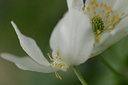 BUITEN BEELD Foto: 29230