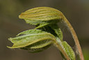 BUITEN BEELD Foto: 29279