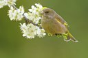 BUITEN BEELD Foto: 29362