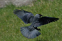 BUITEN BEELD Foto: 29369