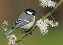 BUITEN BEELD Foto: 29384