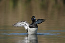 BUITEN BEELD Foto: 29398