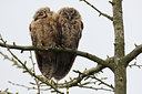 BUITEN BEELD Foto: 29400