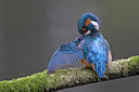 BUITEN BEELD Foto: 29406