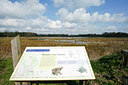 BUITEN BEELD Foto: 29445