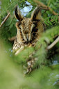BUITEN BEELD Foto: 29511