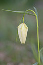 BUITEN BEELD Foto: 29596