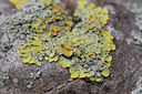 BUITEN BEELD Foto: 29601