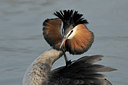BUITEN BEELD Foto: 29674