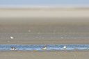 BUITEN BEELD Foto: 29675