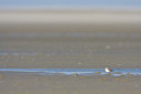 BUITEN BEELD Foto: 29676