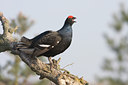 BUITEN BEELD Foto: 29682