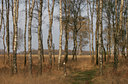 BUITEN BEELD Foto: 29690
