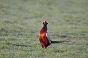 BUITEN BEELD Foto: 29712