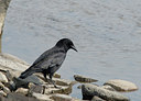 BUITEN BEELD Foto: 29728