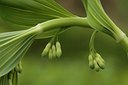 BUITEN BEELD Foto: 29754