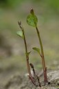 BUITEN BEELD Foto: 29778
