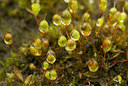 BUITEN BEELD Foto: 29816