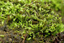 BUITEN BEELD Foto: 29821