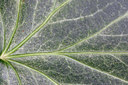 BUITEN BEELD Foto: 29846