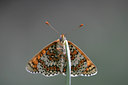 BUITEN BEELD Foto: 29852