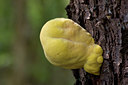 BUITEN BEELD Foto: 29954