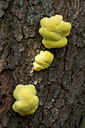 BUITEN BEELD Foto: 29955
