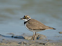BUITEN BEELD Foto: 29970