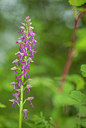 BUITEN BEELD Foto: 299070