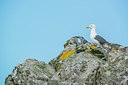 BUITEN BEELD Foto: 299126