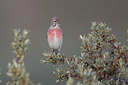 BUITEN BEELD Foto: 299239