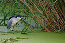BUITEN BEELD Foto: 299241