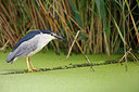 BUITEN BEELD Foto: 299243