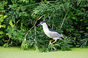 BUITEN BEELD Foto: 299245