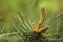 BUITEN BEELD Foto: 299282