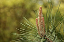 BUITEN BEELD Foto: 299283