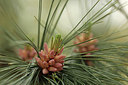 BUITEN BEELD Foto: 299288