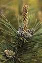 BUITEN BEELD Foto: 299297